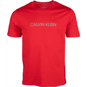 Calvin Klein PW - S/S T-SHIRT Pánské tričko, Bílá,Šedá, velikost L