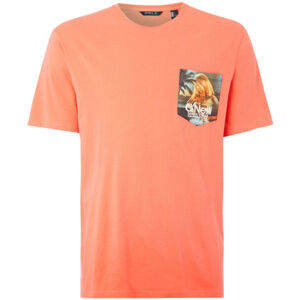 O'Neill LM PRINT T-SHIRT Pánské tričko, oranžová, velikost XS